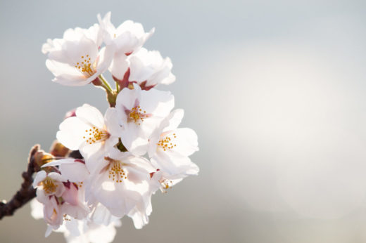 2019入社式の動画を公開！