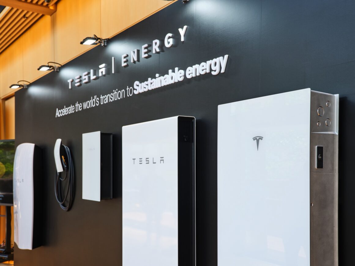 強力波動,浄化・パワースポット化,ヒーリング,二コラ・テスラ,パープルプレート大 浄化・パワースポット化,ヒーリング,活性化,二コラ・テスラ,パープル